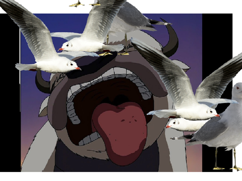 sEaGulLs StOp It NoW
