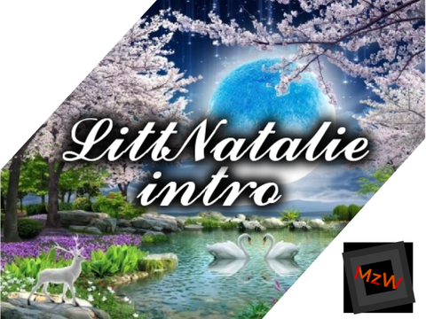 intro entry  for @LittNatalie