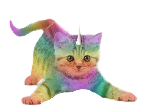 rainbow unicat