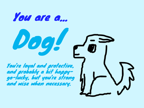 Quiz: Are you a cat or a dog?