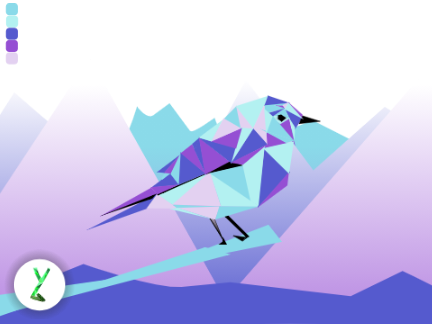 Bird Mountain