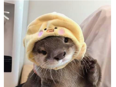 ☂ mini photo dump ˎˊ-