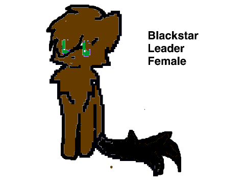 Warrior cat Clan contest remix