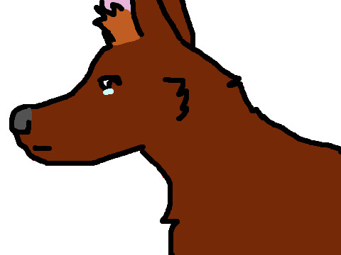 Animation