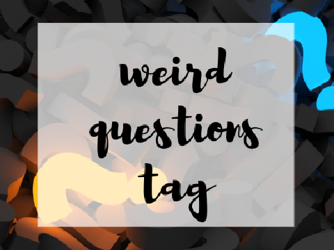 Weird Questions Litno 