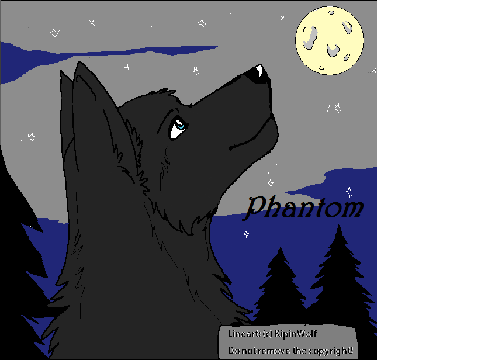 Wolf Of The Night