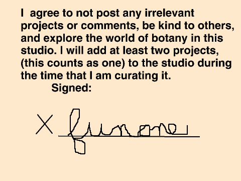 PLS Form  remix