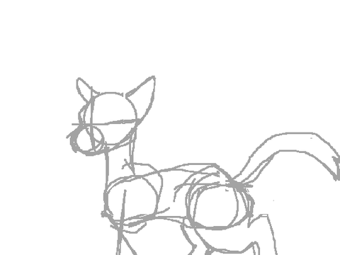 quick sneak peak of the into the wild film "storyboard"