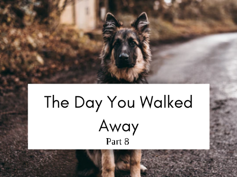 part 8 // the day you walked away