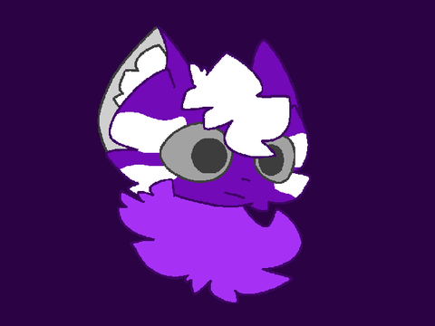 coconut_the_cat