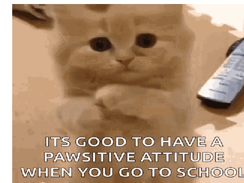 Back to school!