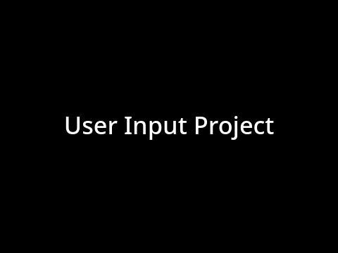 User Input Project