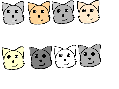 Cat adoptables