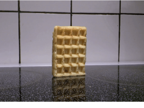 Waffle Falling Over
