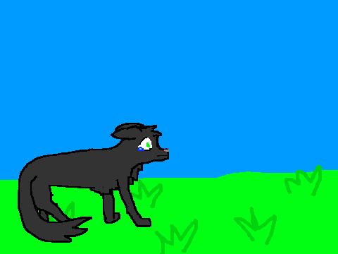 Warrior Cat OC- RyeClan cat: Shadowscale
