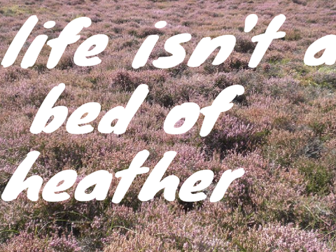 {open} life isn't a bed of heather {logo contest} remix