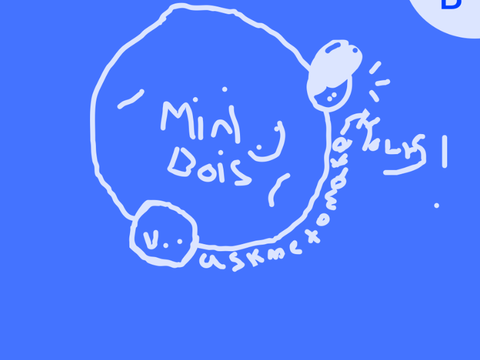 The mini boi center
