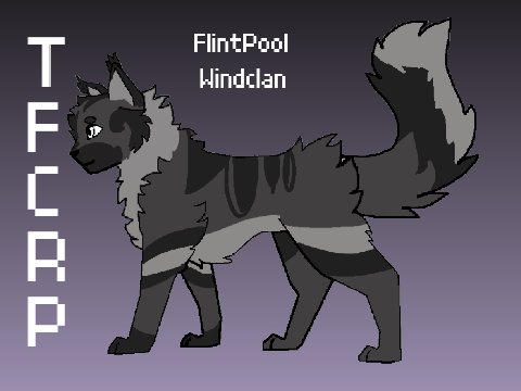 Flintpool- TFCRP Ref