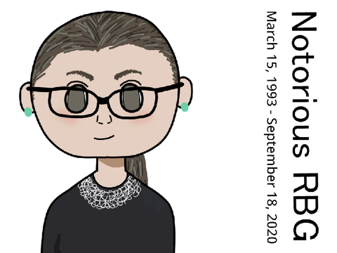 fly high notorious rbg 