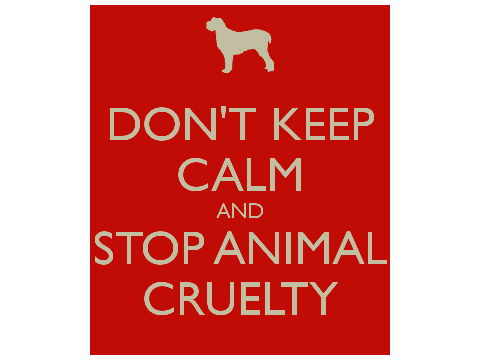 Sign if you hate animal cruelty and help stop it!!!