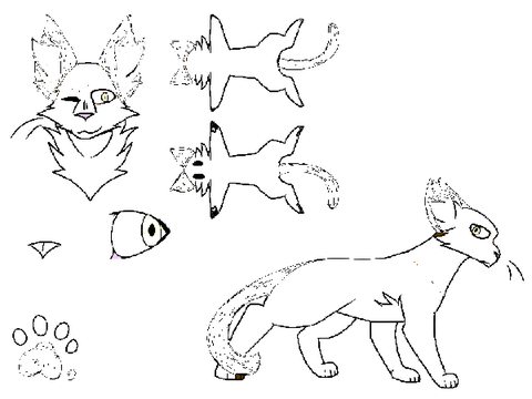 BranchClan Blank Reference Sheet