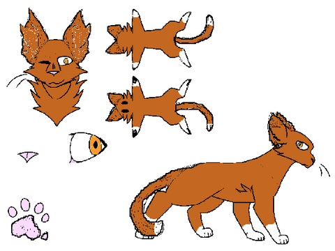 Branchstar Reference Sheet