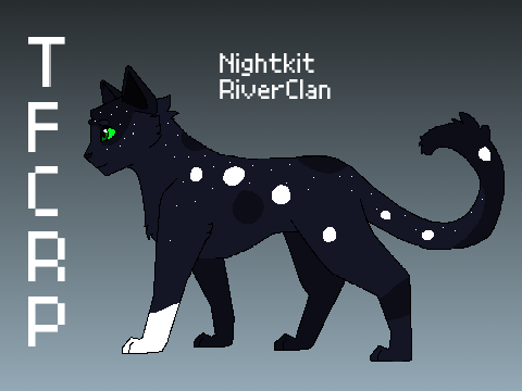Lightflare x Tigerfire Kit Designs