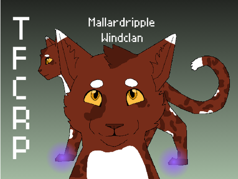 Mallardripple Reference