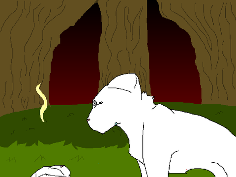 Animation Practice 