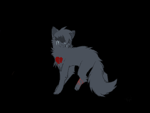 Youth ⪻Cinderpelt⪼