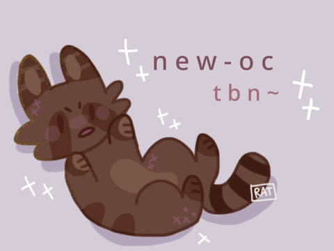 raccoon bby | oc