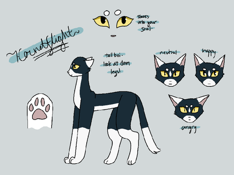 Hornetflight (TFCRP) ref sheet
