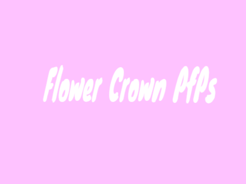 ✩ Flower crown PfPs ✩