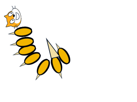 catworm demo