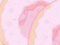 ✿  