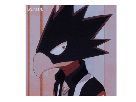 Tokoyami Slideshow! (For @JellyStix)
