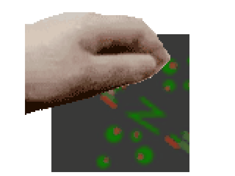 Pet Pet