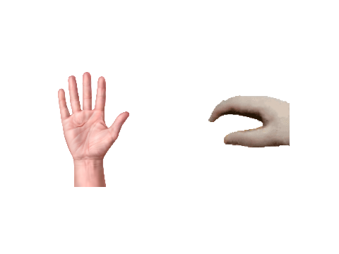 Pet The Pet The Hand
