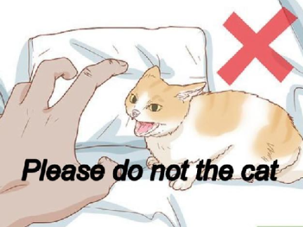 Please do Not The Cat 
