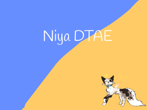 Niya ~DTAE~