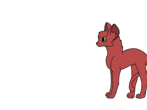 Animation practice