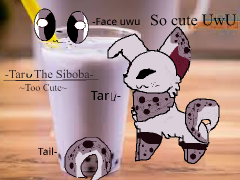 +My Shiboba+Taru+