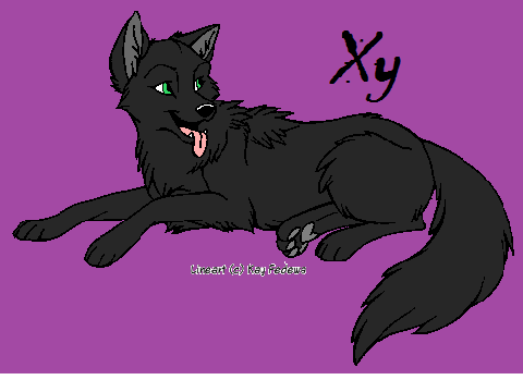 Xy