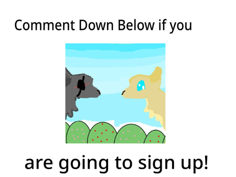 Sign Ups