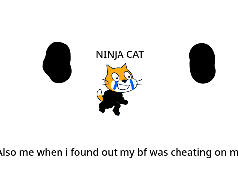 Ninja cat