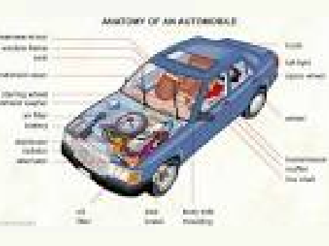 Car Insides