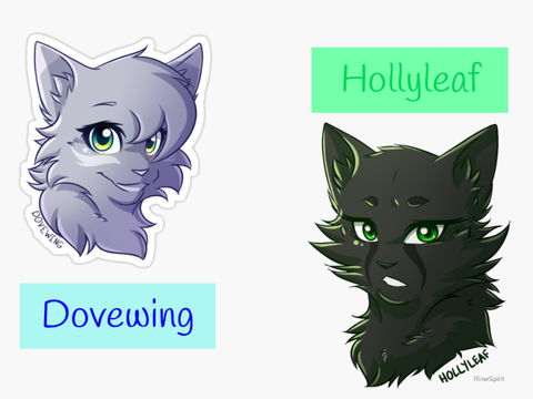 Hollyleaf or Dovewing?