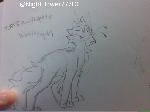 Sketchs 4 ya'lls ocs