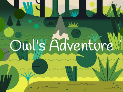Owl's Adventure (Super Simple Fun Game)