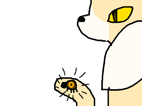 My spider. NO TOUCHIE!